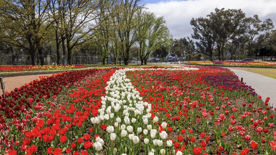 credit to KKday Blog 2022 for the photo