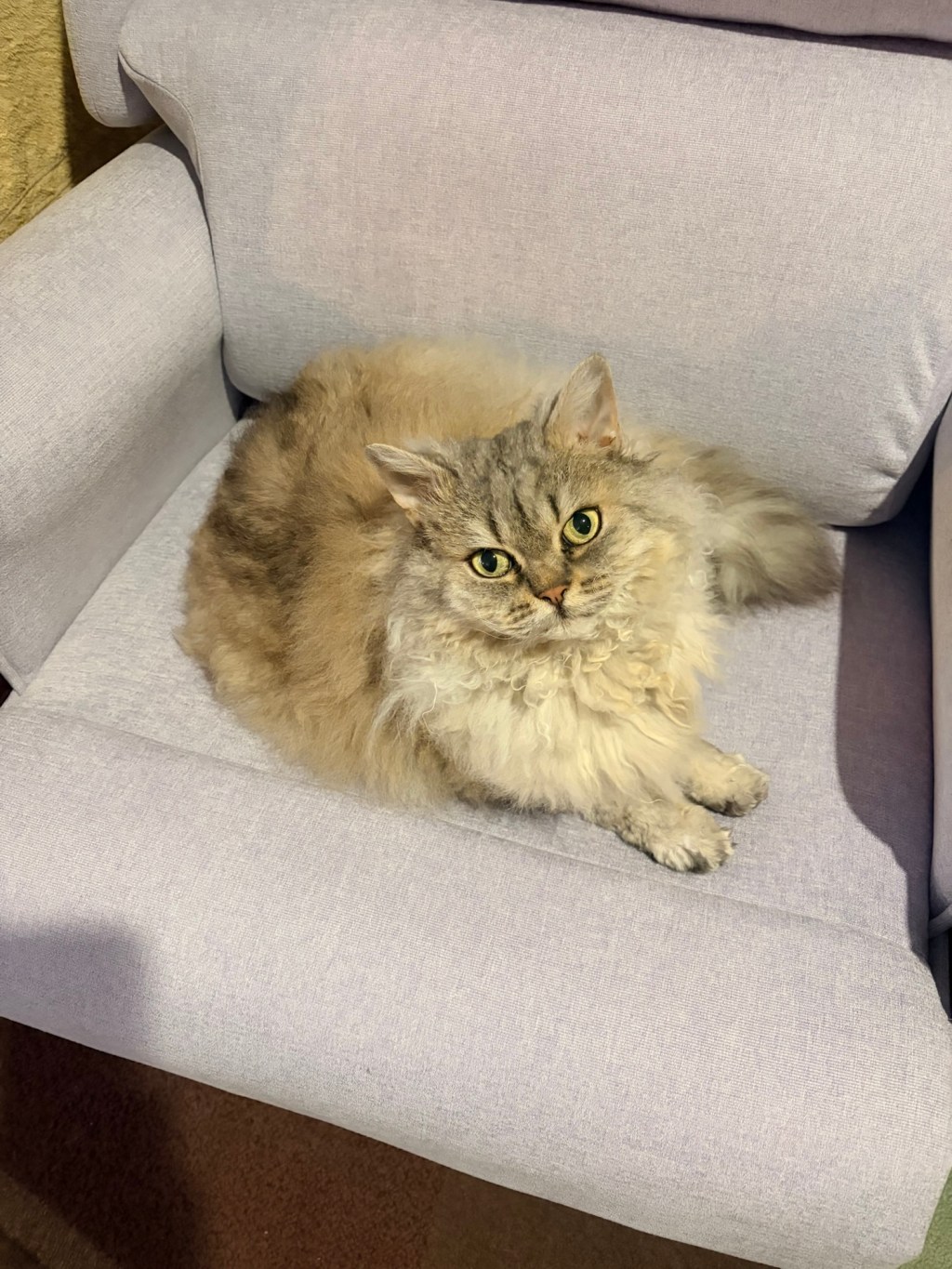 The Week That Was All About The Floof